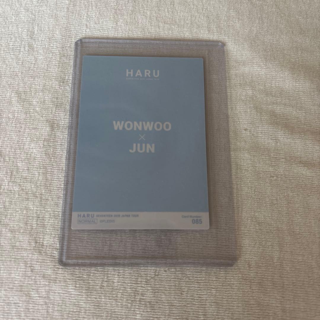 seventeen セブチ HARU ウォヌジュン トレカ