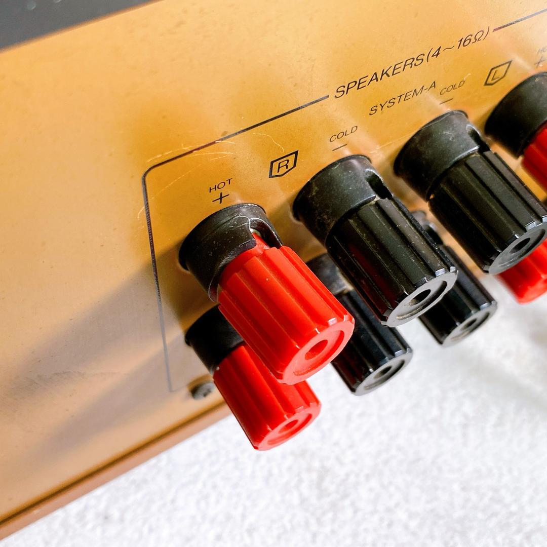 Sansui（サンスイ） プリメインアンプ AU-D907X