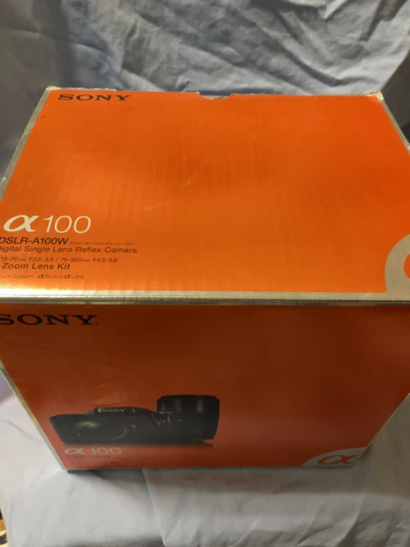 ソニーアルファ　Wレンズセット