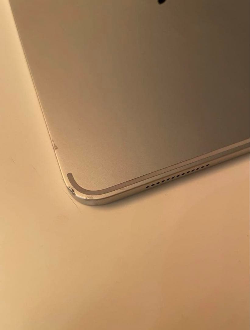 iPad Pro 11 インチ第1世代 256GB 訳ありの為お値下げ相談承り中