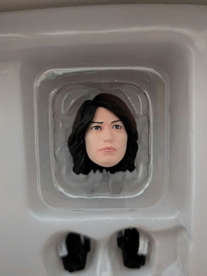 [開封品] S.H.フィギュアーツ 真骨彫製法 仮面ライダーイクサ