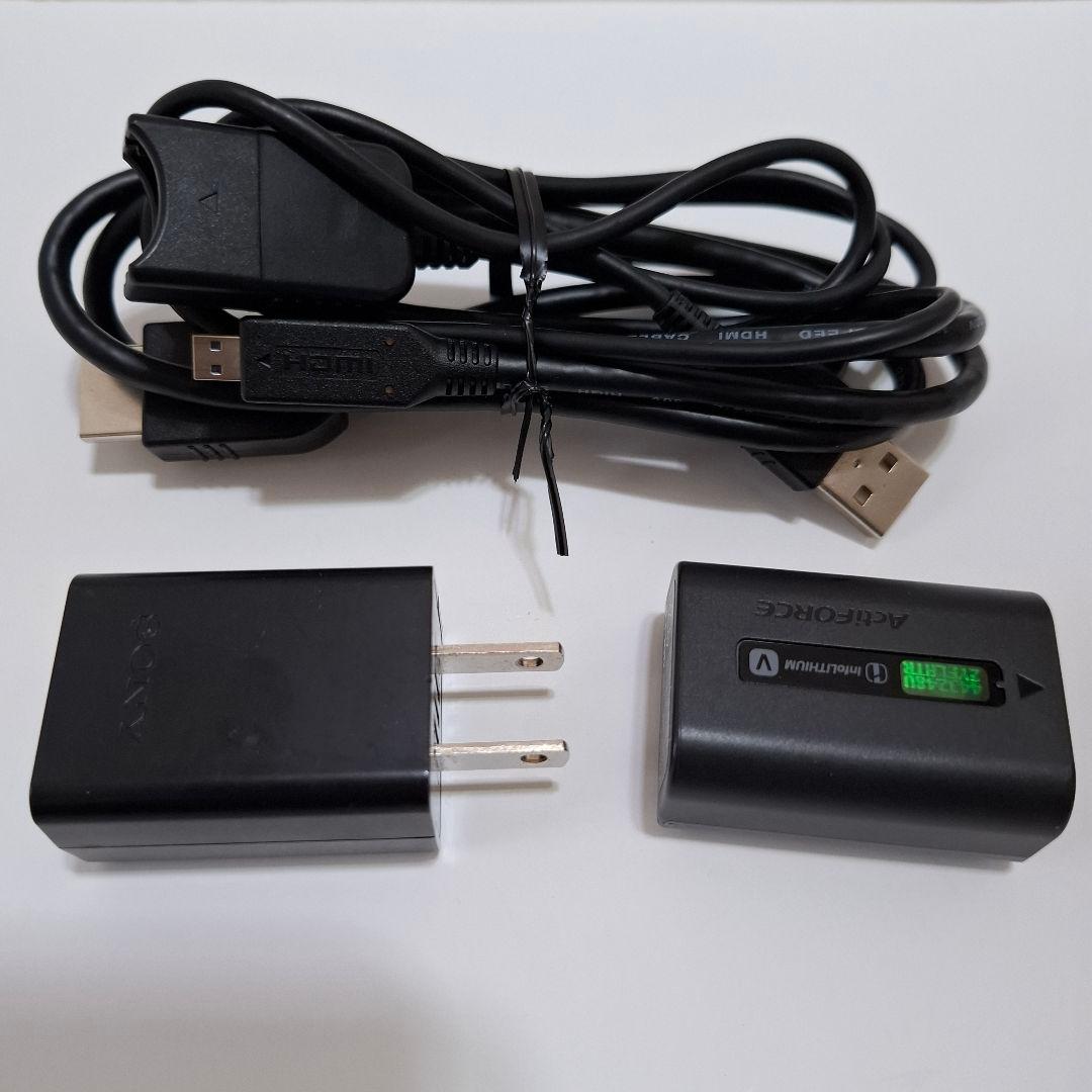 ビデオカメラ SONY HDR-CX485