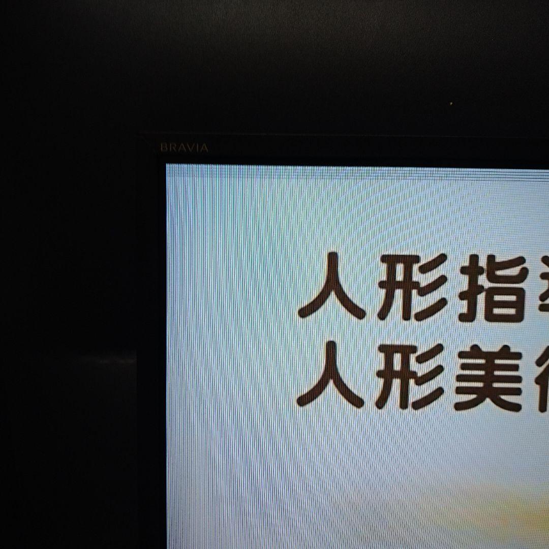 BRAVIA 液晶テレビ 大画面　2017