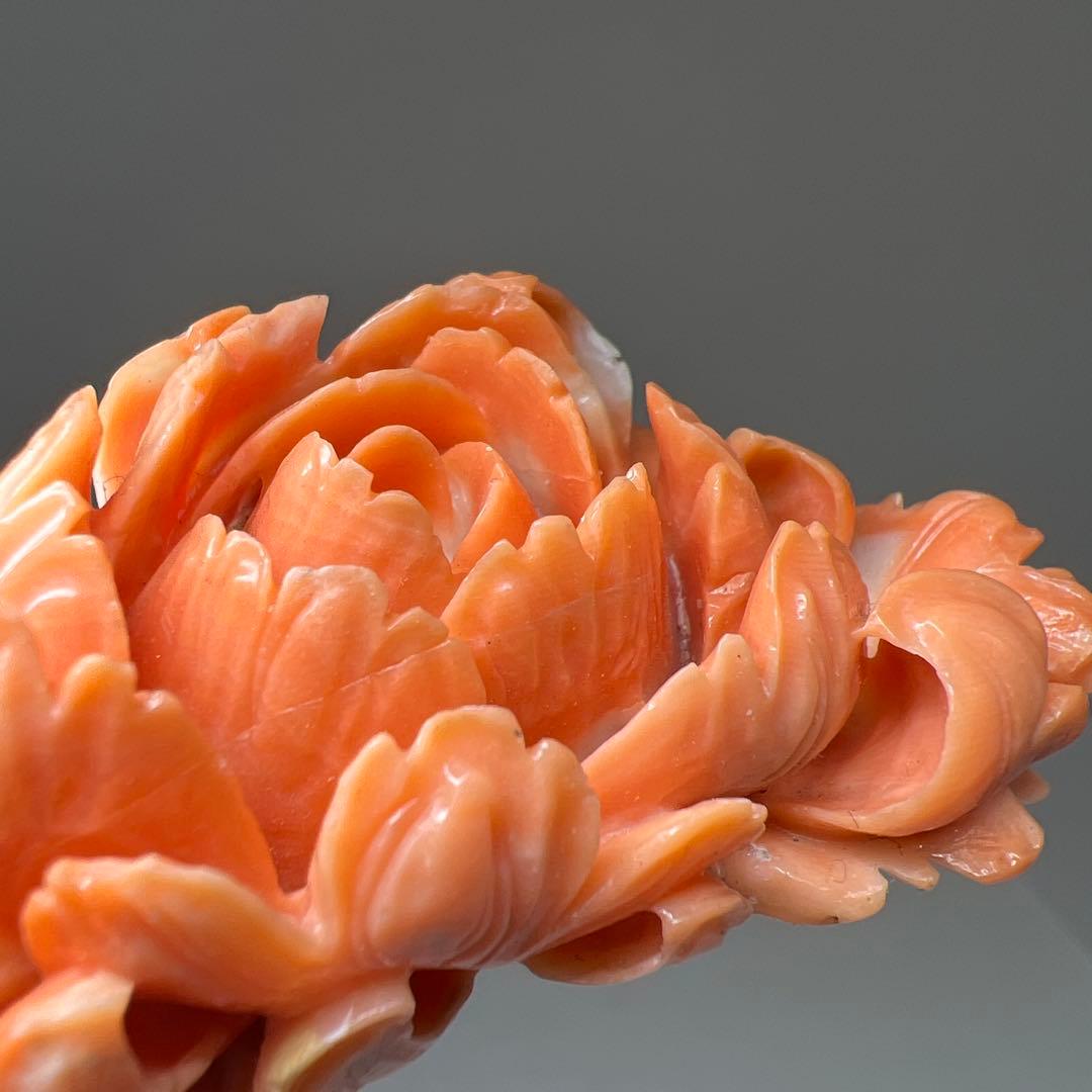 本赤珊瑚　大振バラ彫刻　31g 東Y8-0203☆2F