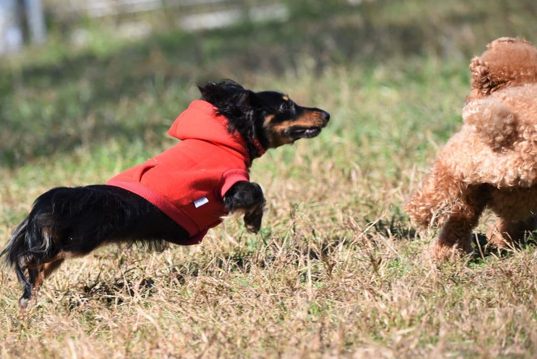 ニコンD750, バッテリーパック、28～300mmズームレンズその他一式セット