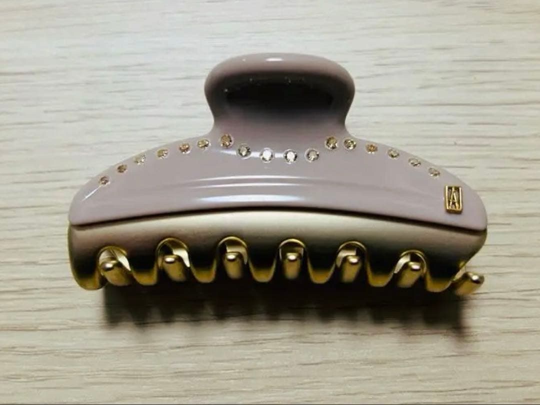 a*様 ALEXANDRE DE PARIS ヘアクリップ Mサイズ