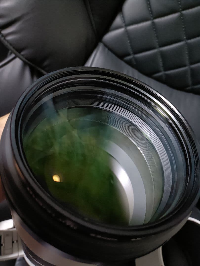 レイ200-600mm Sony Gレンズ 望遠レンズ