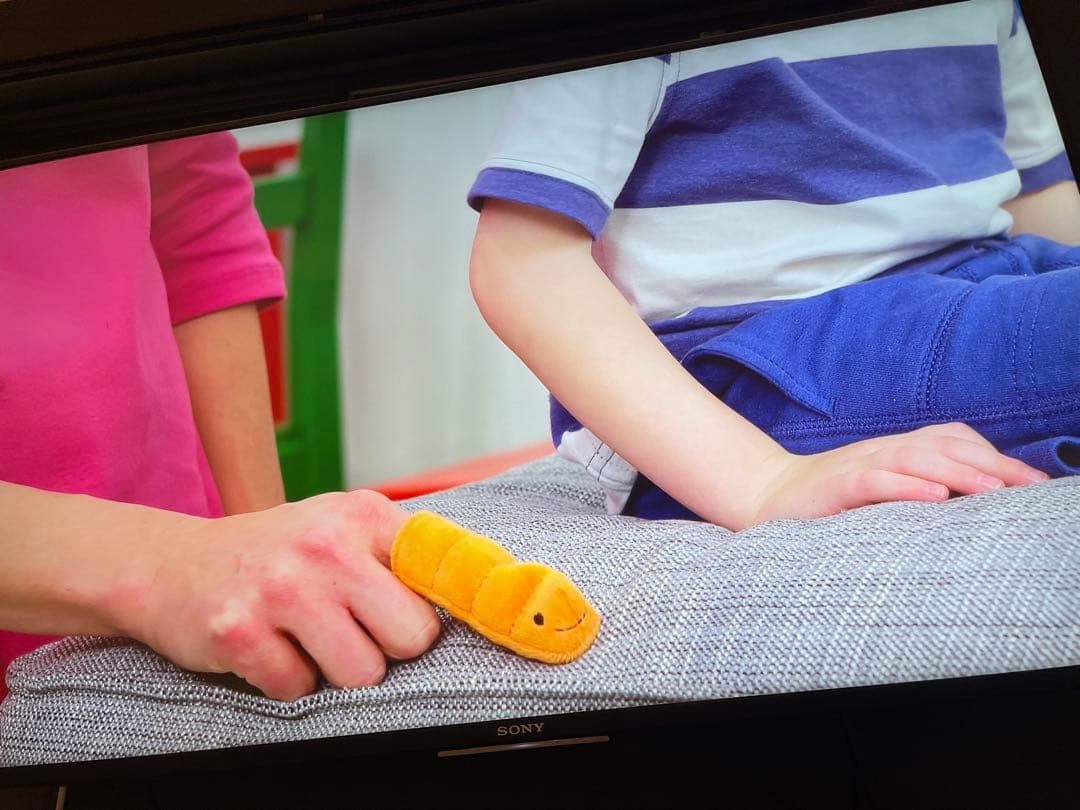 【美品•最新版】DWE プレイアロング Play Along! 2020年購入