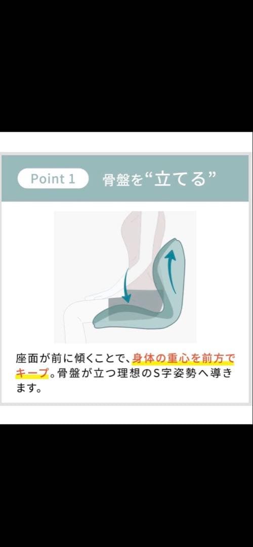 Style premium スタイルプレミアム　ブラック美品 人間工学チェア