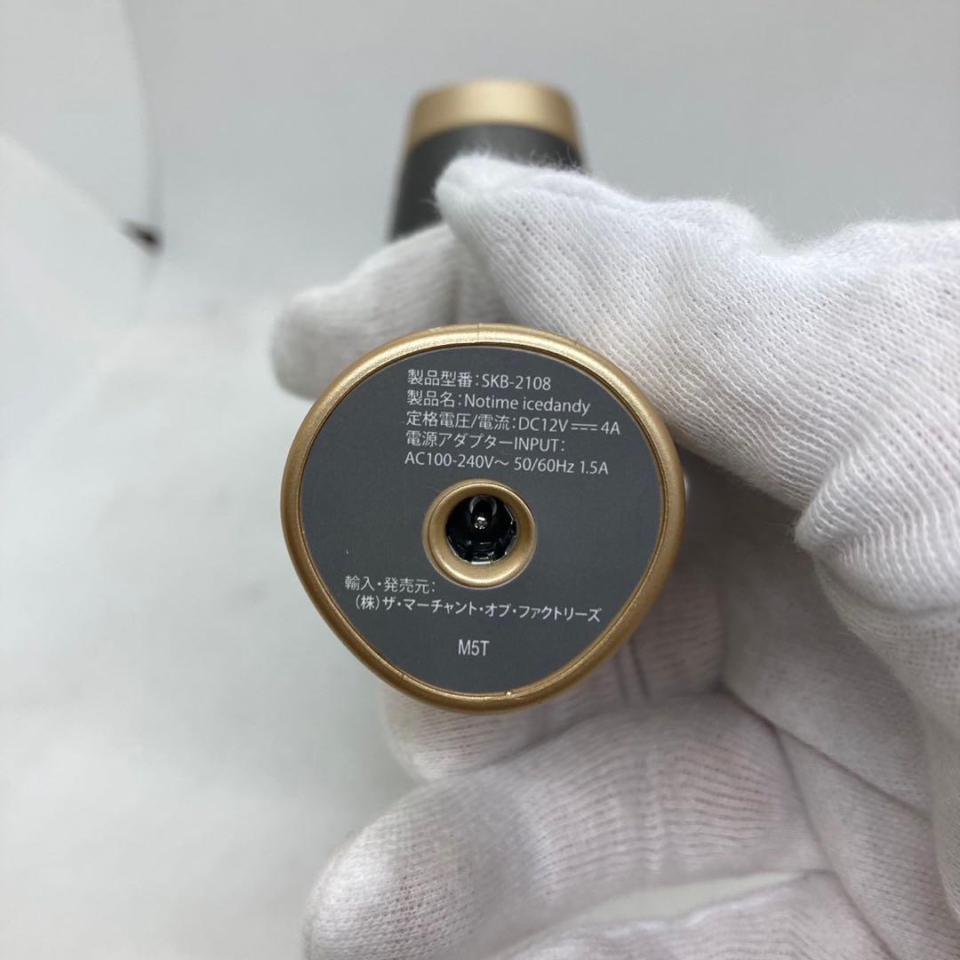 脱毛器 アイスダンディ icedandy SKB-2108 家庭用光美容器