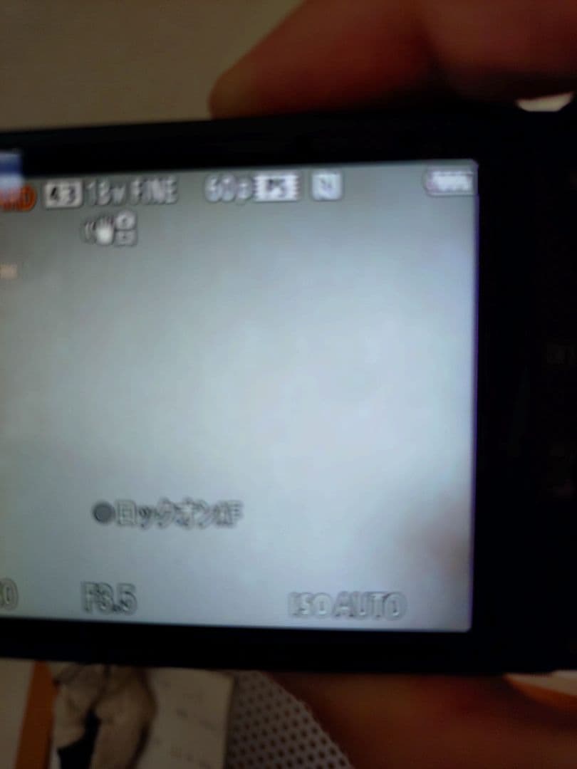 SONY サイバーショット DSC-WX350 ブラック（美品）商品説明必須