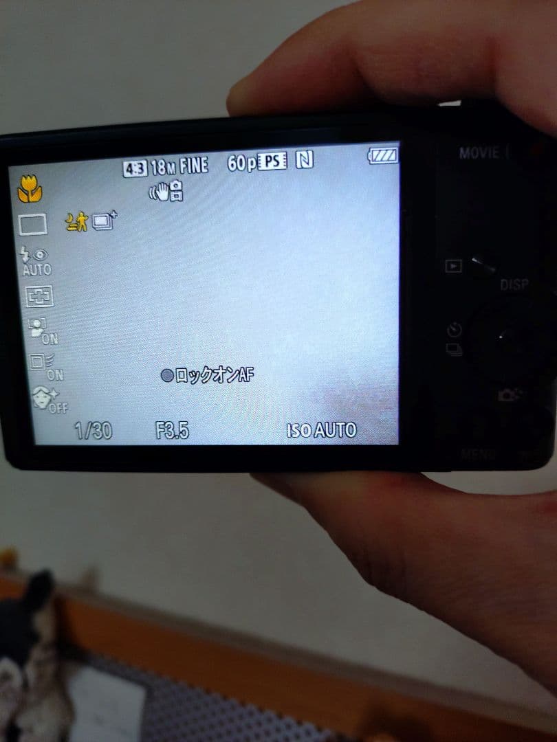 SONY サイバーショット DSC-WX350 ブラック（美品）商品説明必須