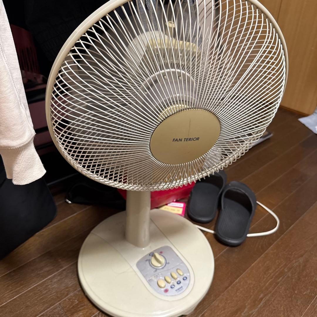 FAN TERRIOR スタンドファン クリーム色