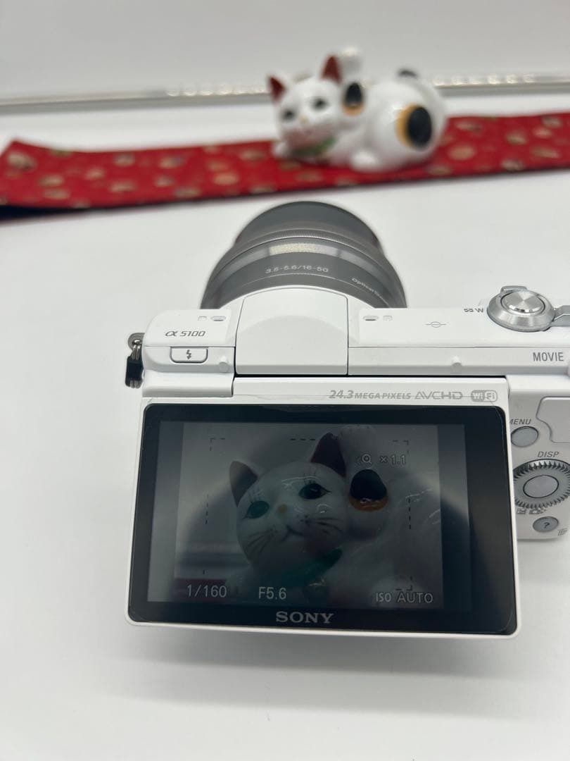 SONY α 5100 E 16-50mm シャッターカウント174