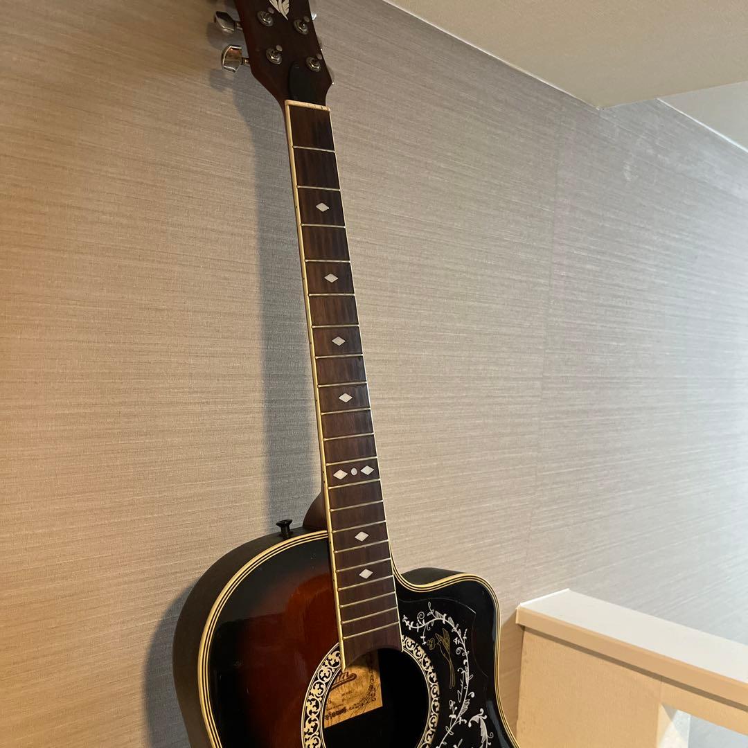 ARIA AMB-35 エレアコ