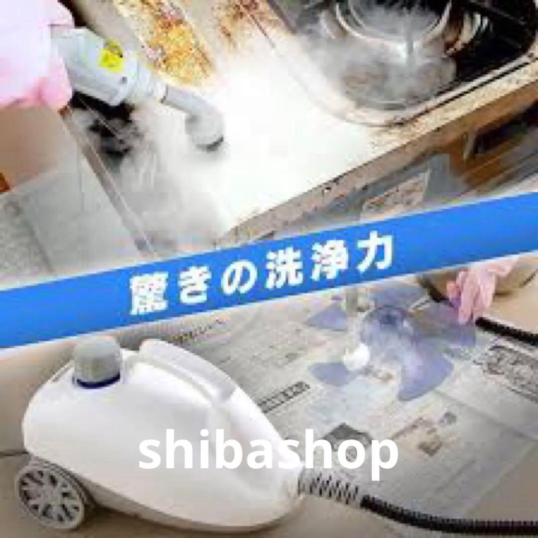 スチームクリーナー キャニスタータイプ IRIS STM-410E ホワイト