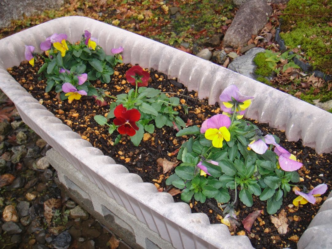 ☆動作OK SONY デジカメ DSC-T900 メモリースティック&電池付き