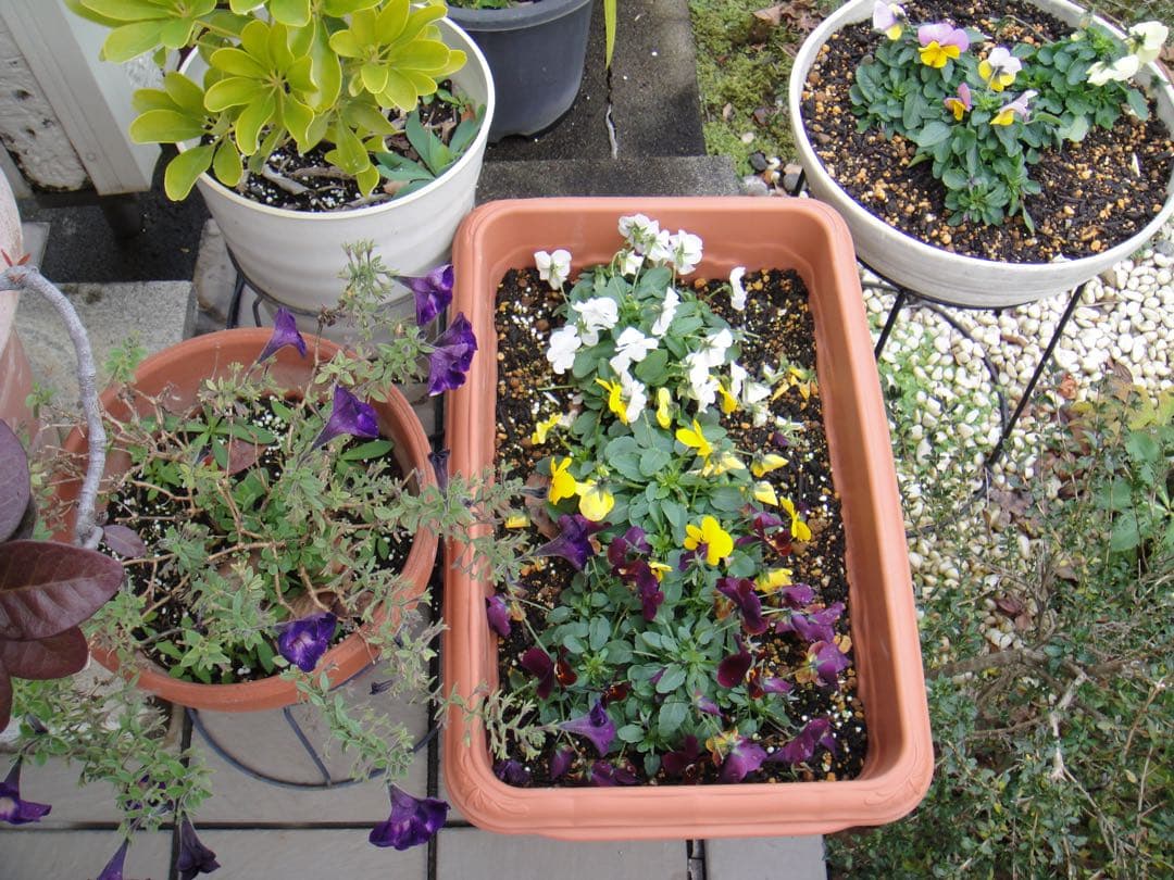 ☆動作OK SONY デジカメ DSC-T900 メモリースティック&電池付き