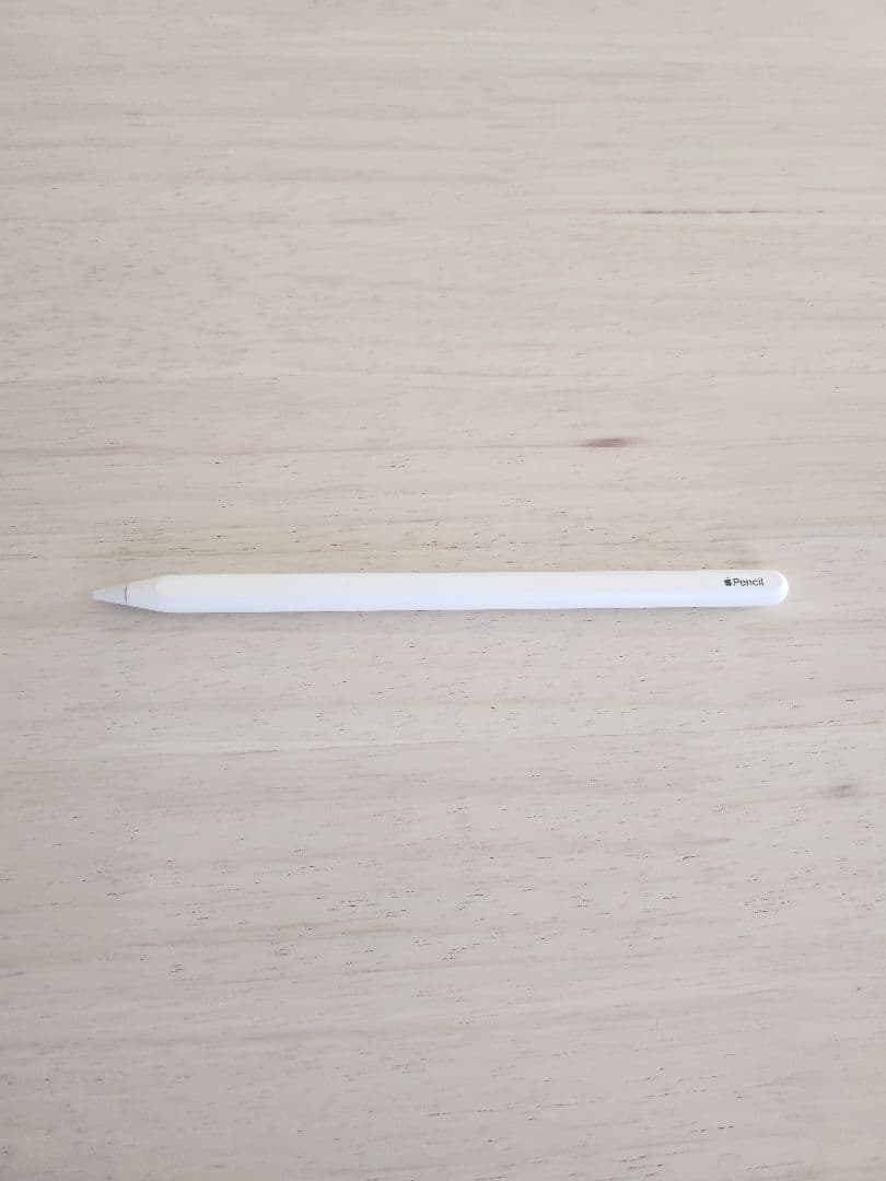 iPad pro (A2228) &Apple Pencil (第2世代)