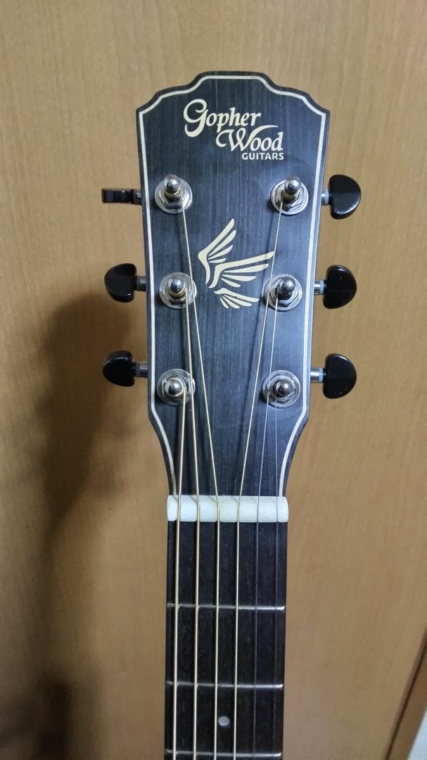 ❤️弦高調整済！「Gopher ゴフェル I110SX 」サウンドピラー内蔵！