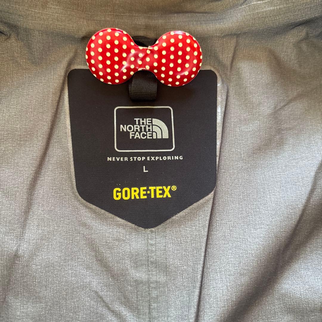 The North Face GORE-TEX マウンテンパーカー　Lサイズ