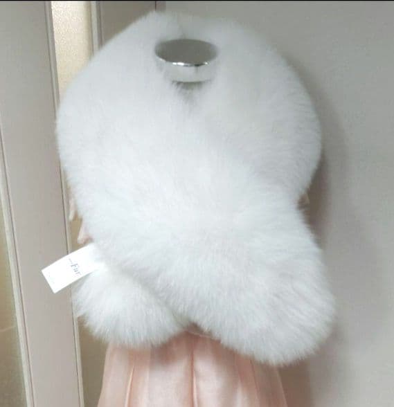 未使用) SAGAシャドーFOXショール