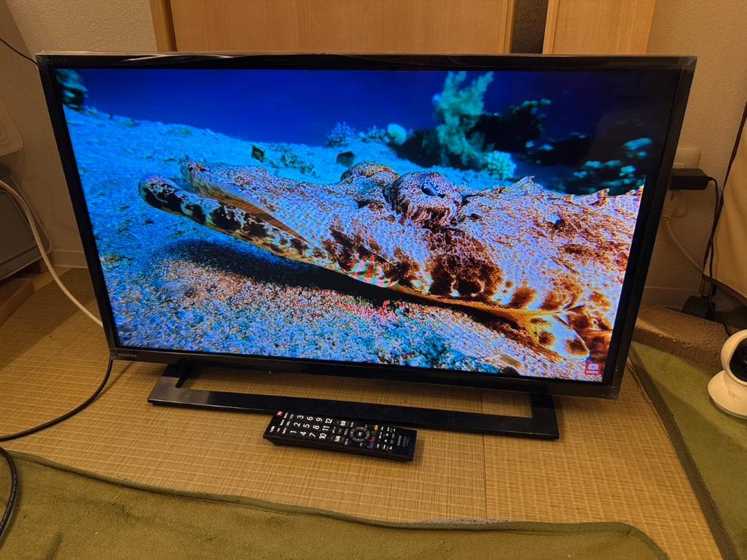 東芝 TOSHIBA　レグザ　テレビ 32型　32S22　2019年製　極美品！