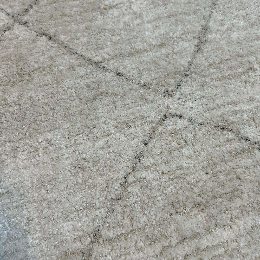 OLYMPUS E-PL1 ミラーレスカメラ レンズ2本セット【ジャンク】