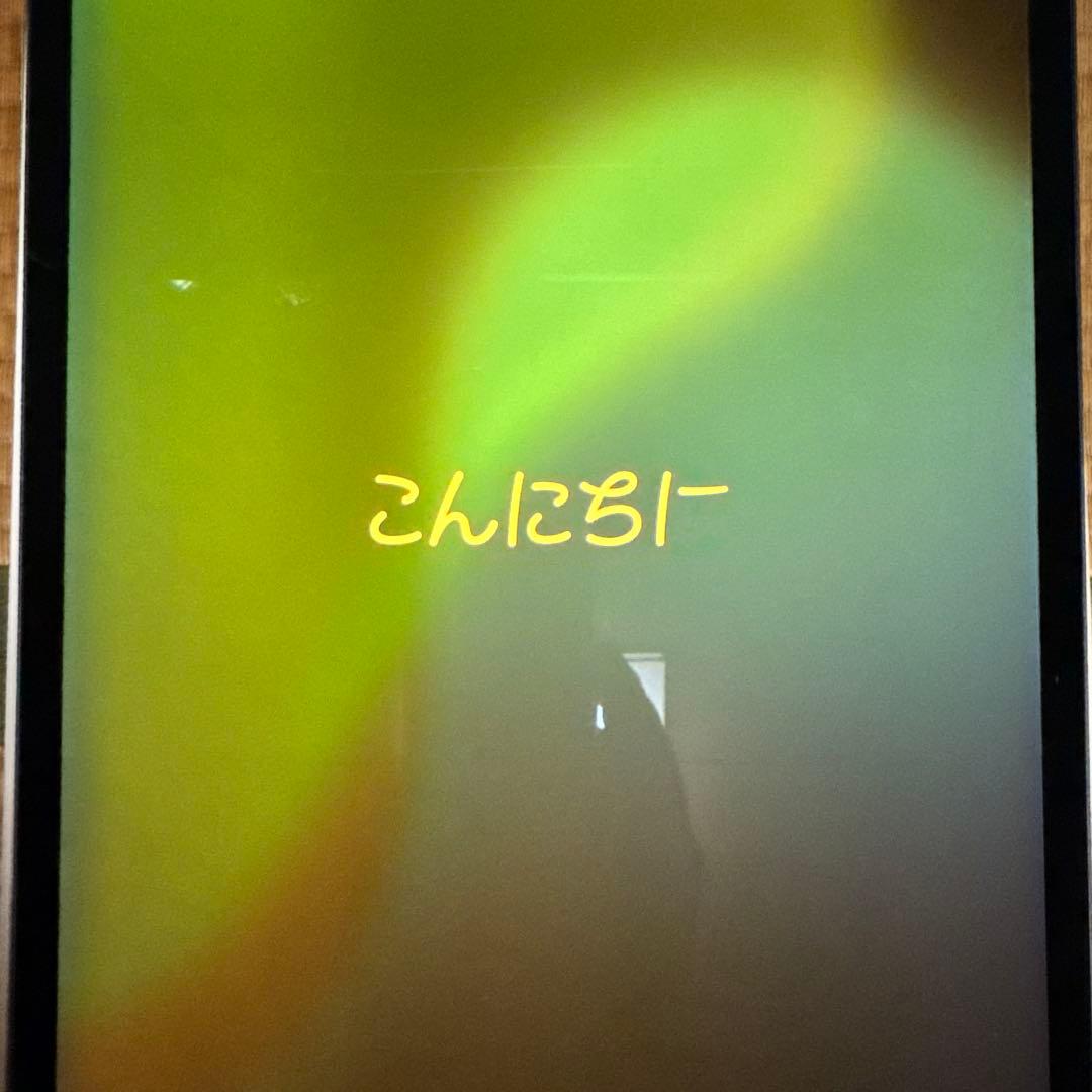 iPad Pro12.9インチ第4世代スペースグレー512GB