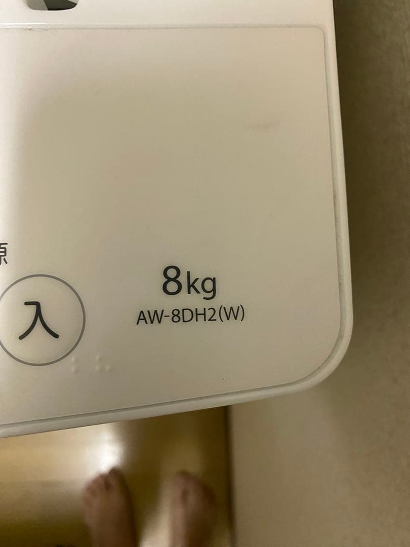 TOSHIBA 東芝 全自動洗濯機 AW-8DH2 8kg 2023年製