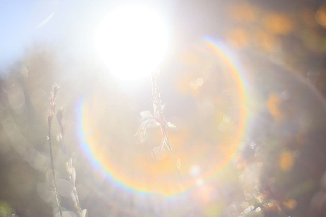 Super-Takumar 55mm F1.8 前期型 S/N：1121282