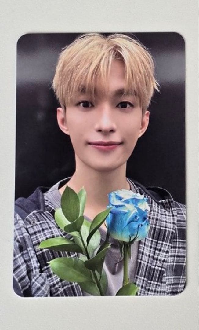 SEVENTEEN DXS ドギョム　DK サノク トレカ