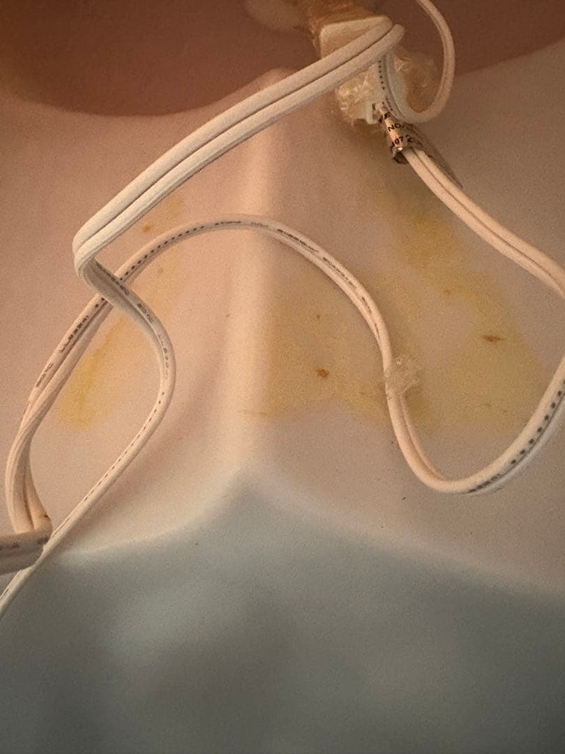 クリスマスイルミネーション　ライト　くま