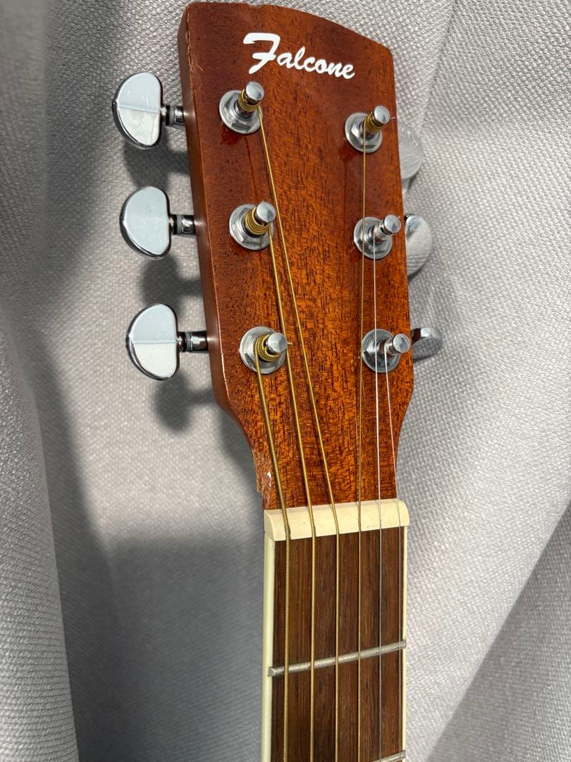 アコースティックギター　ファルコン　グリーン