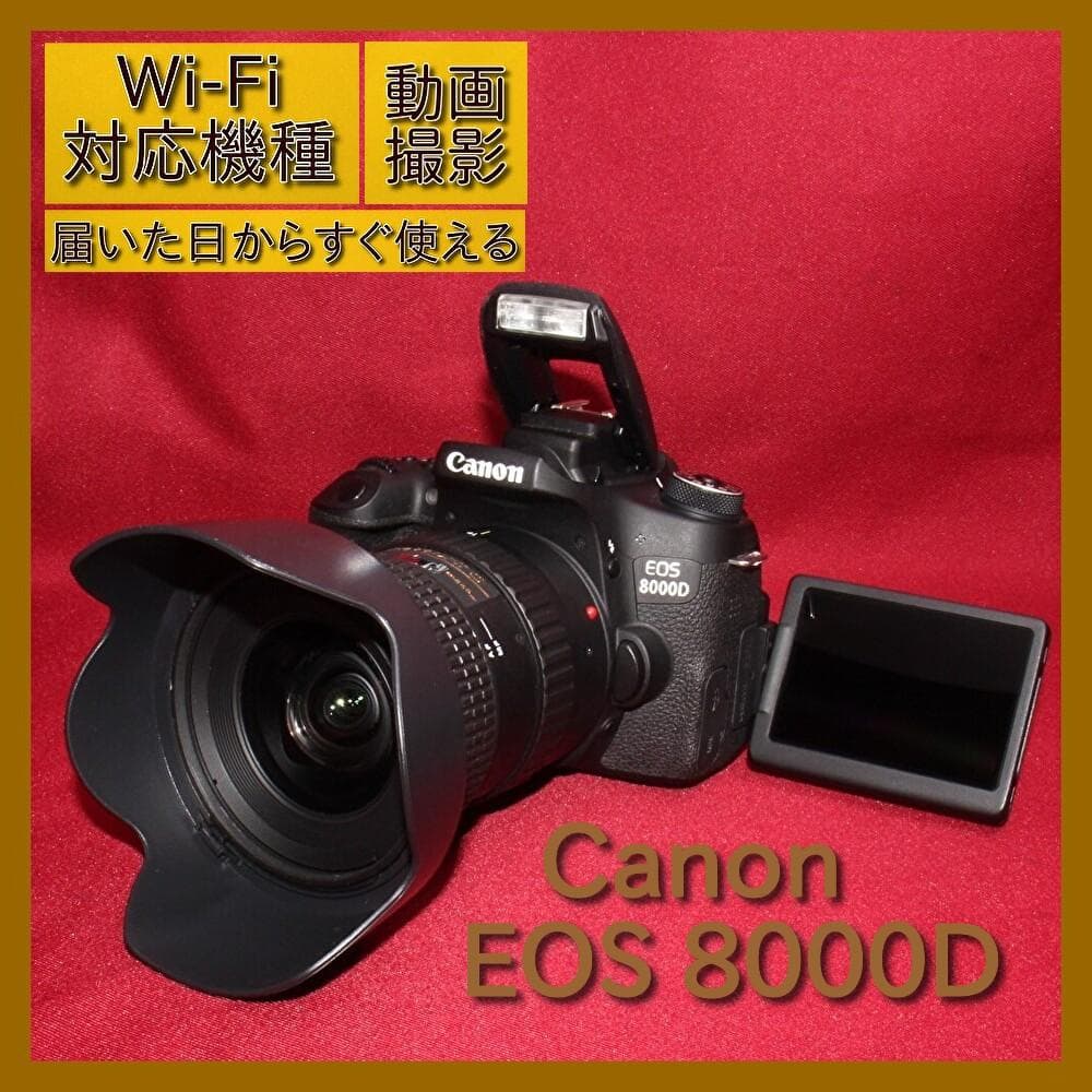 ✨Wi-Fi搭載機種✨Canon EOS 8000D 超広角レンズセット✨