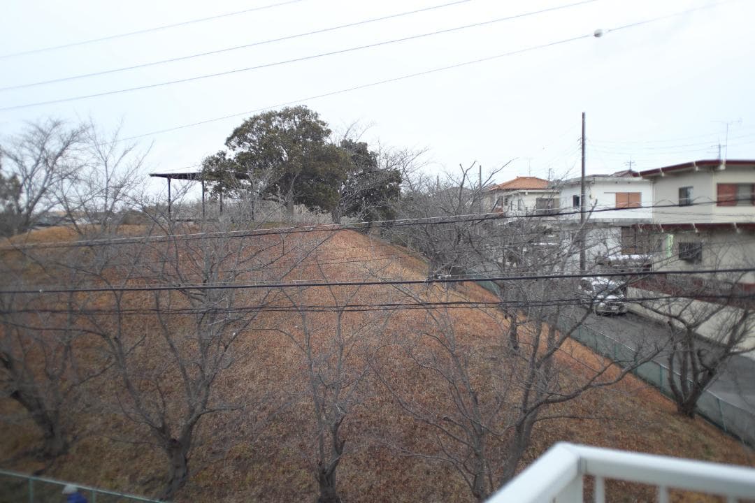 Canon NEW FD 28mm f/2.8 キャノンレンズ #7930