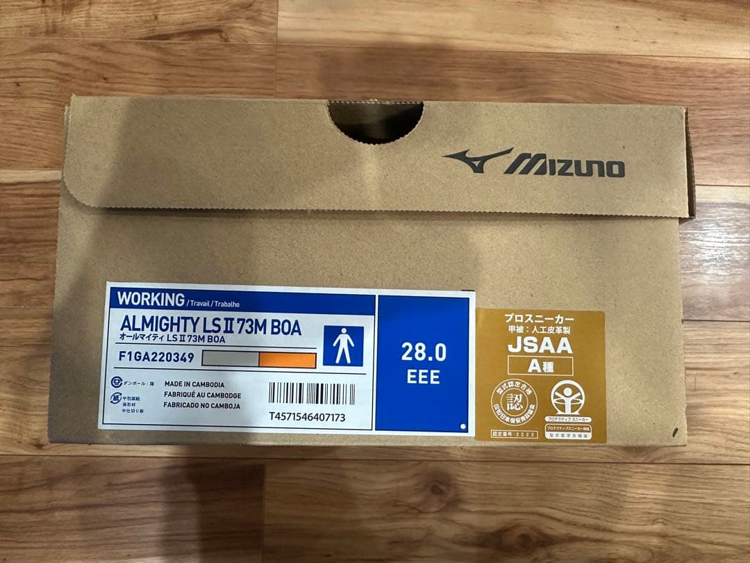 Mizuno ALMIGHTY LSⅡ73M BOA 28.0 EEE①