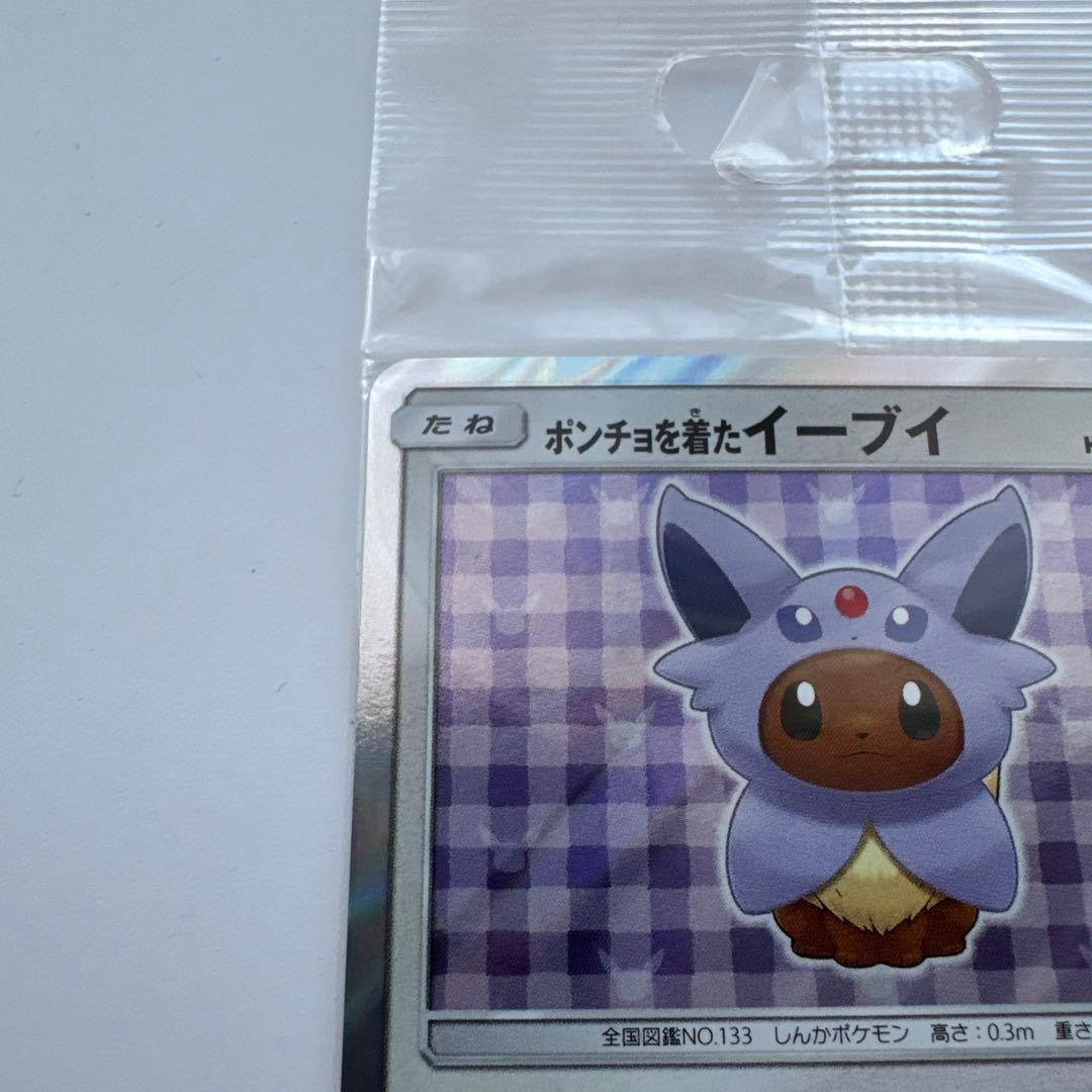 ポンチョを着たイーブイ 未開封 エーフィ ポケモンカード