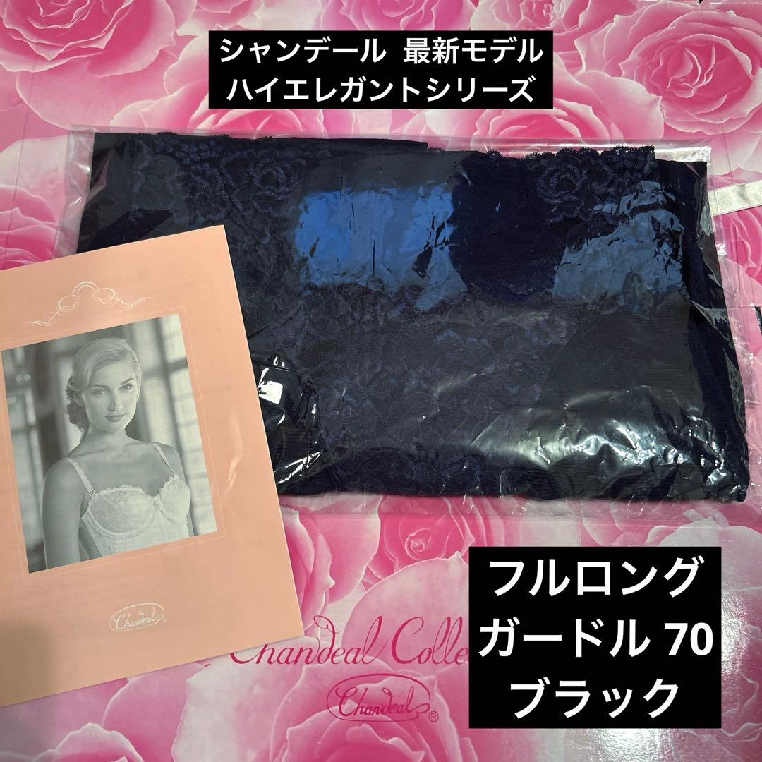 補正下着シャンデール ハイエレガント　フルロングガードル 70