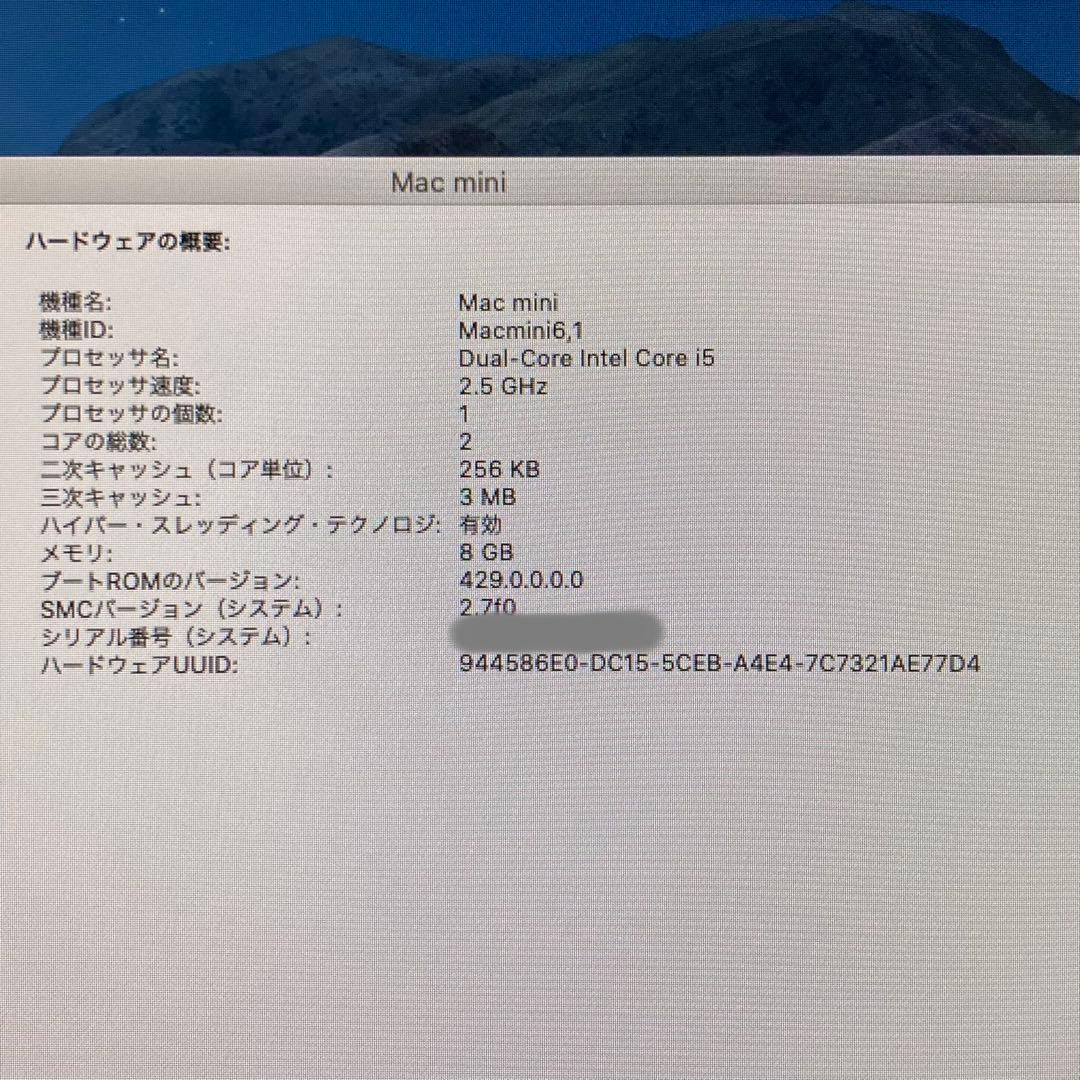 rion1001kun　Mac mini