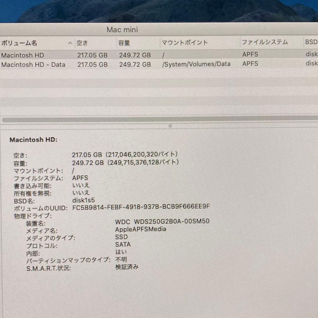 rion1001kun　Mac mini