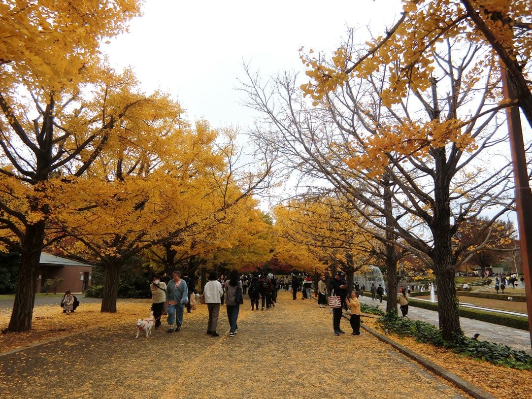 CASIO EXILIM EX-ZR60 ホワイト動作確認済