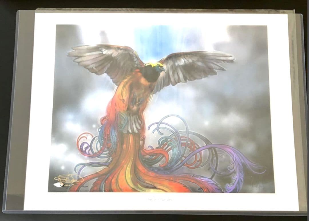 サイン入りアートプリント　極楽鳥　Birds of Paradise MTG