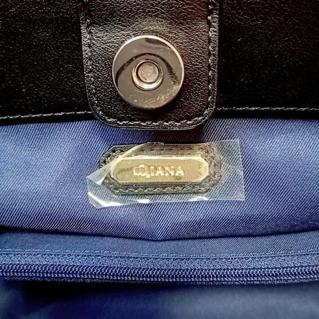 【極美品】ダイアナ ハンドバッグ ショルダーバッグ 2way 3層 ナイロン