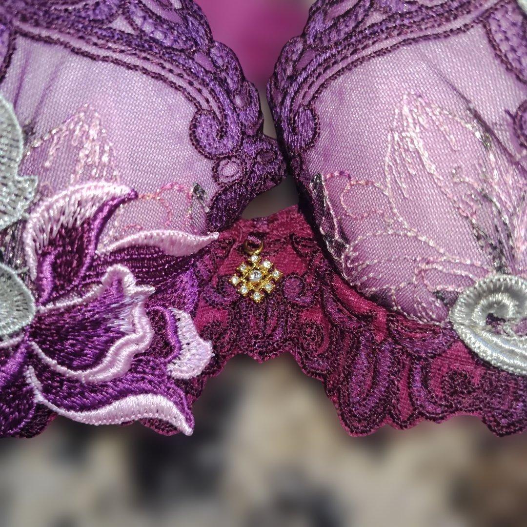 サルート　C65花柄刺繍ブラジャーショーツセット 紫系