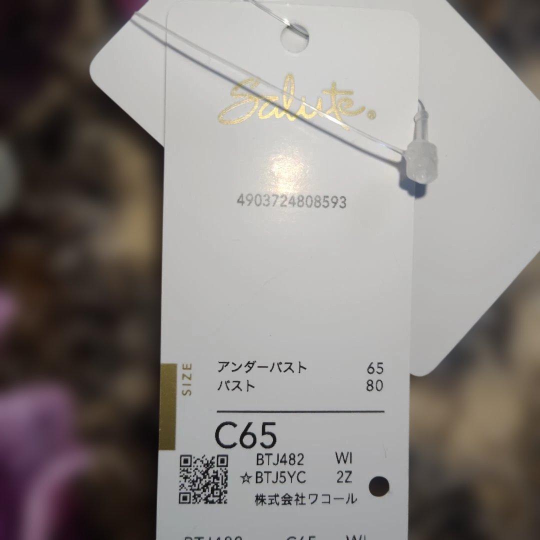 サルート　C65花柄刺繍ブラジャーショーツセット 紫系