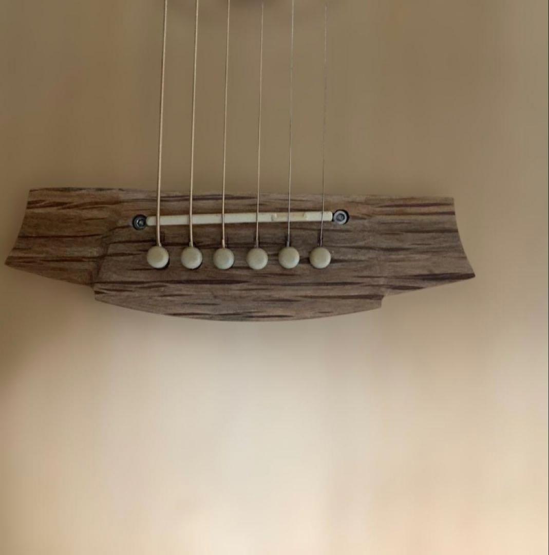 Cole Clark FL2EC・BSO 中古美品