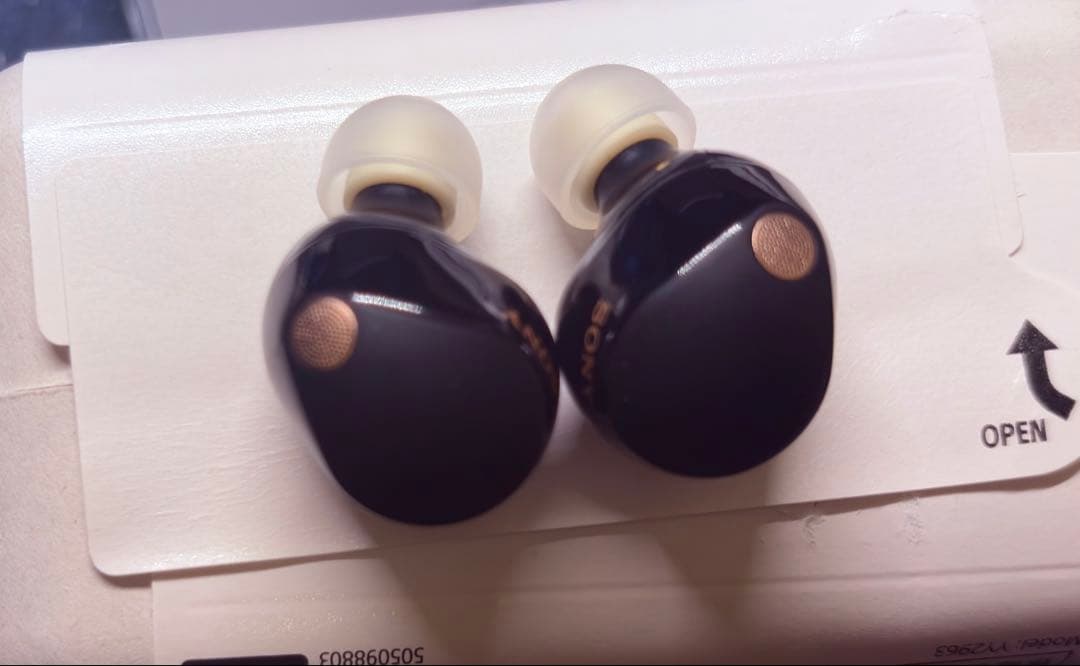 使用1ヶ月⭐︎SONY WF-1000XM5 ブラック⭐︎おまけ付き