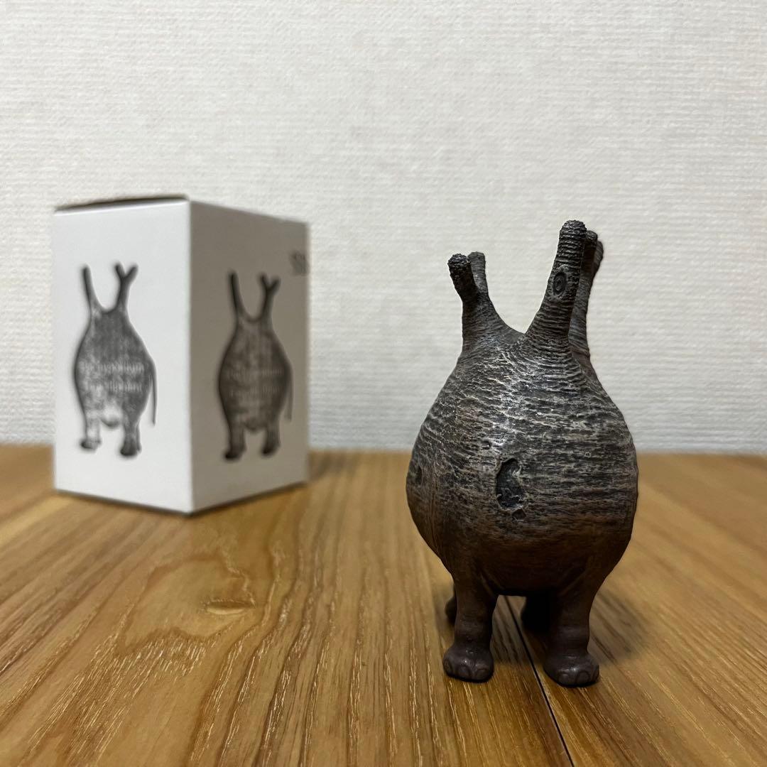 OZWRT Pachypodium Graciliphant グラキリファン