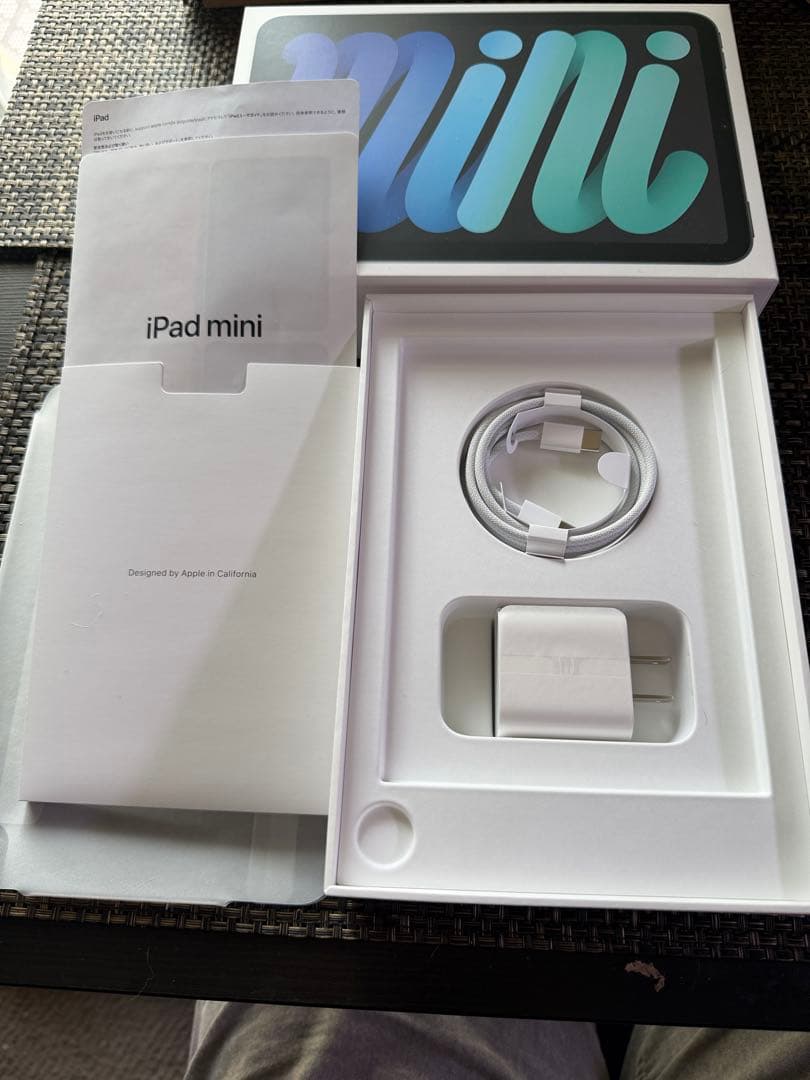 IPad mini A17 Pro 8GB 256GB wifi,セルラー保3月